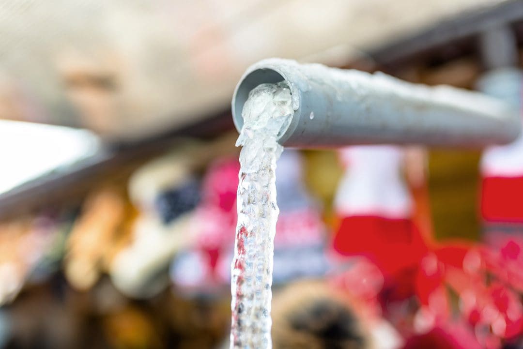 Selfregulating Heated Pipe Wraps for Condensate Drains